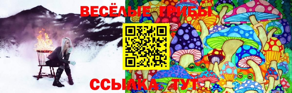 Галлюциногенные грибы прущие грибы Егорьевск