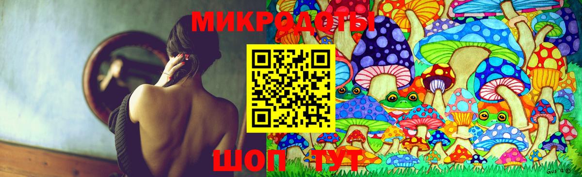 Галлюциногенные грибы Psilocybe  Вход с VPN  Егорьевск 